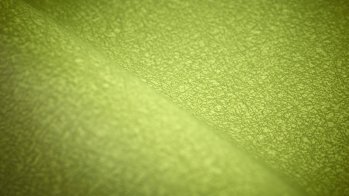 Sileather, mit einer Oberfläche aus 100 % Silikon auf einem Unterstoff aus Polyester, ist eine von Guanzhou Xibo Chemical Technology entwickelte Hightech-Funktionsfaser im Lederlook, die vom US-Unternehmen Siotech vertrieben wird. Sileather ist eine umweltfreundliche, nachhaltige, leicht zu reinigende, wetterfeste und äußerst strapazierfähige Funktionsfaser, die in verschiedenen Bereichen eingesetzt werden kann, auch in extremen Umgebungen. Dass es chlorresistent, reißfest und salzwasserbeständig ist, macht