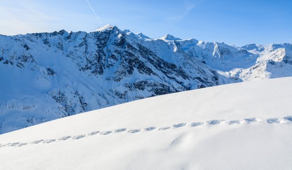 Rund um das Gebiet am Pitztaler Gletscher und Rifflsee gibt es unzählige Skitourenmöglichkeiten: Rositzkogel (3394 m), Schluchtkogel (3471m) sind nur zwei von vielen hochalpinen Zielen mit traumhafter Gletscherkulisse am Dach Tirols. 