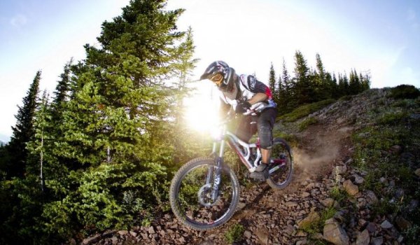 downhill parks