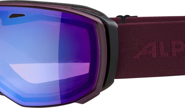 The Alpina Estetica is available with QHM technology. The freeride goggle offers a large field of vision.