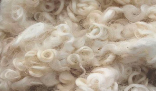 Because of their outstanding properties, people have been using wool for centuries.