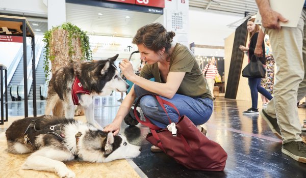 OutDoor by ISPO 2019 - Hunde OutDoor by ISPO 2019 - Hunde