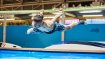 Im Watersports Villagage werden den Besuchern akrobatische Höchstleistungen geboten.