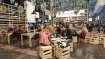 Vor allem Sports Business Professionals finden im Outdoor-Segment zahlreiche interessante Optionen zum Netzwerken mit angenehmen Ambiente, etwa in dr rustikalen Lounge von ISPO Award Winner Vaude.