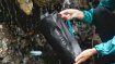 The HydraPak water container holds approx. 2.1 gallons and can be folded to a quarter of its overall size if necessary. 