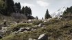 Paradise for people and animals: the mountains of South Tyrol.