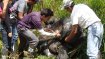 Lokales Jugendprojekt: Schutz der Galapagos Riesenschildkröte