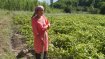 Conserving Central Asia's Ancient Fruit and Nut Forests