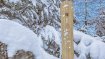 Gebogene Bambus-Stringer sind im Anticonf Board verarbeitet: Der Winner Hardware Winter.