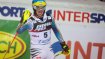 Ski pole: Leki Venom SL, 140 Euro.