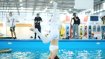 Die Messe-Welt steht Kopf! Was für viele Normalsterbliche bereits auf festem Grund eine Herausforderung ist, wird beim Kopfstand auf dem Stand-up Paddling Board auf ein neues Balance-Level gehoben 