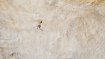 Chris Sharma ist der Erstbegeher mehrerer Routen im bestätigten Grad 9b.