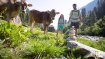 Die Organisation unterstützt zum Beispiel auch die #beactive-Kampagne der Europäischen Kommission zur European Week of Sports.