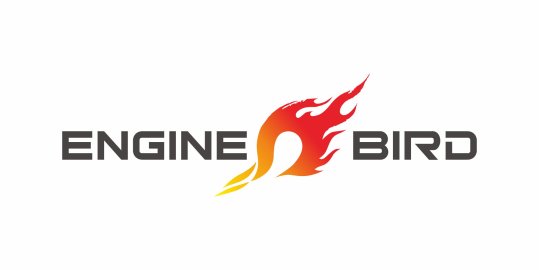 ENGINE BIRD