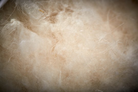 ISPO Textrends - Insulations