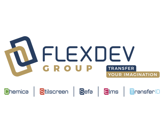 FLEXDEV GROUP