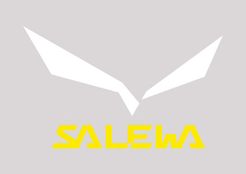 Logo SALEWA