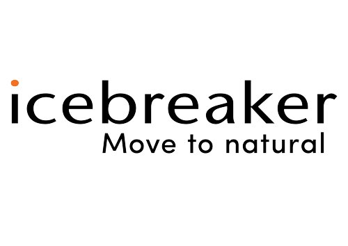 Logo Icebreaker