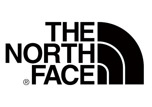 The North Face Summit L6 Cloud Down Parka Innovative Expedition Jacket
