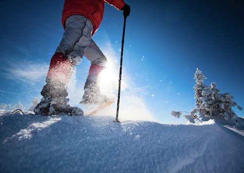 Schneeschuhwanderer