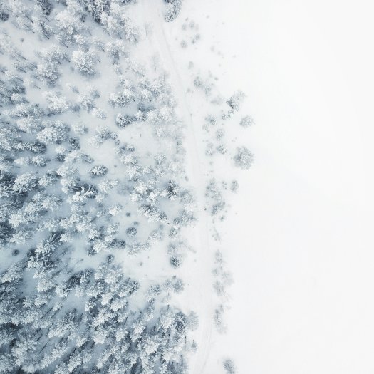 Snow-covered forest from above