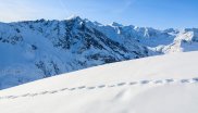 Rund um das Gebiet am Pitztaler Gletscher und Rifflsee gibt es unzählige Skitourenmöglichkeiten: Rositzkogel (3394 m), Schluchtkogel (3471m) sind nur zwei von vielen hochalpinen Zielen mit traumhafter Gletscherkulisse am Dach Tirols. 