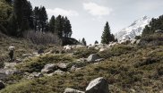 Paradies für Mensch und Tier: Die Berge Südtirols.