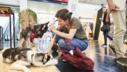 OutDoor by ISPO 2019 - Hunde