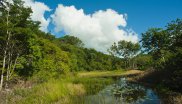 Erhaltung der Artenvielfalt im Atlantischen Regenwald, Brasilien.