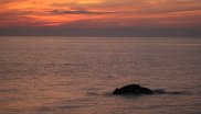 Buckelwale in der Ost-Karibik