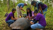 Engaging Local Youth in Conserving the Galapagos Tortoise