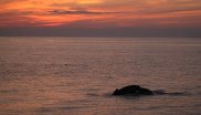 Humpback Whales in the Eastern Caribbean