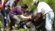 Engaging Local Youth in Conserving the Galapagos Tortoise