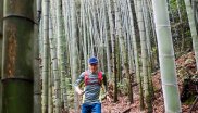 Auch China, aber deutlich tropischer: Thomas Bohne erkundet die Trails in einem Bambus-Wald rund um die chinesische Stadt Hangzhou