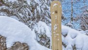 Curved bamboo stringers are processed in the Anticonf Board: the Hardware Winter winner.