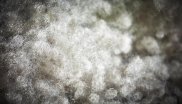 THERMOLITE® NIR BALL (Ziran Non-Woven -FELLEX)