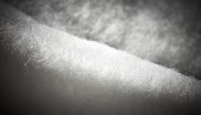 FELLEX® Kapok Insulation (Ziran)