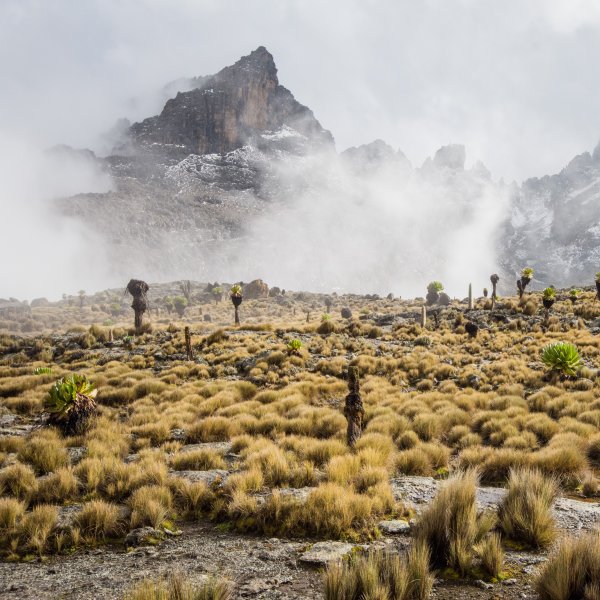 Der Mount Kenya mit Umland