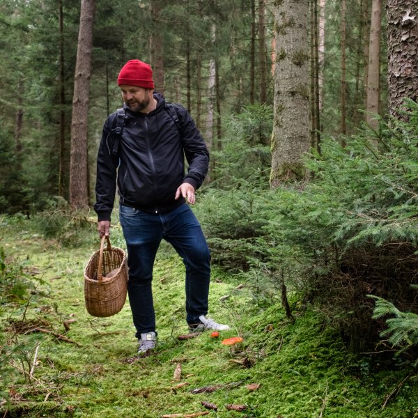 Food expert Sven Christ collecting mushrooms