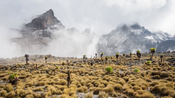 Der Mount Kenya mit Umland