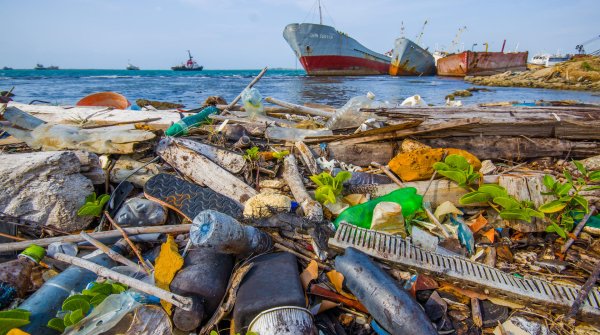 Recycelte Synthetik gewinnt durch zwei neue Garnarten an Bedeutung auf dem Markt