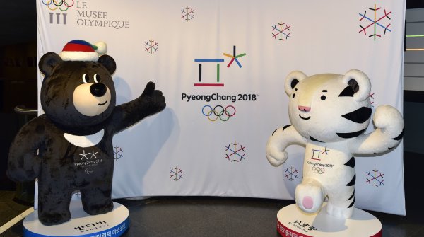 Pyeongchang Masskottchen