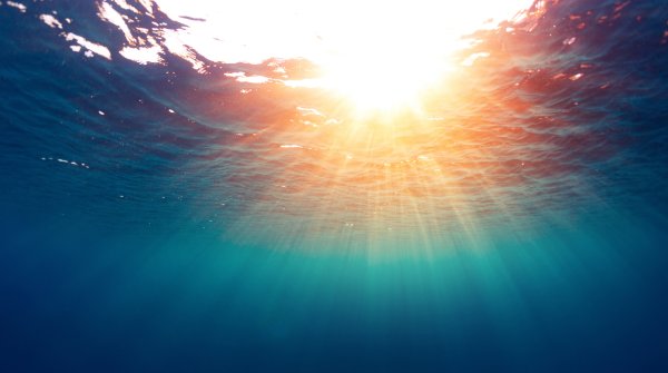 Underwater shot: Sunbeams shining through the water