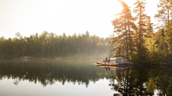 Lake in the forest