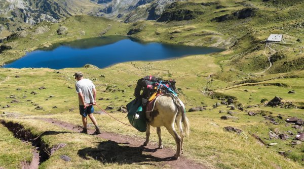 Mit Esel geht's leichter: Wandern