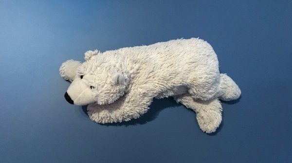 Dieser Kuscheleisbär war schon 15 Mal am Nordpol 