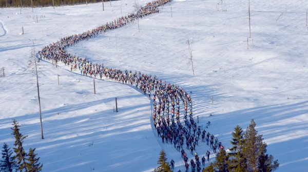 Der Wasalauf durch die schwedischen Wälder ist einer der Höhepunkte im Skilanglaufsport.
