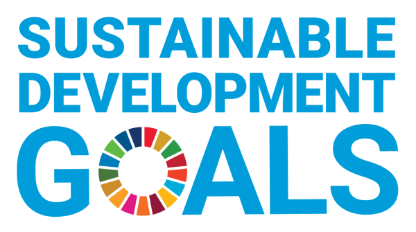 Insgesamt 17 Sustainable Development Goals hat die UN formuliert.