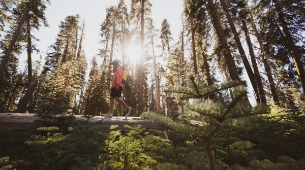 Eine Million Euro will The North Face Organisationen des Outdoorsports zur Verfügung stellen, um durch die Krise zu kommen.