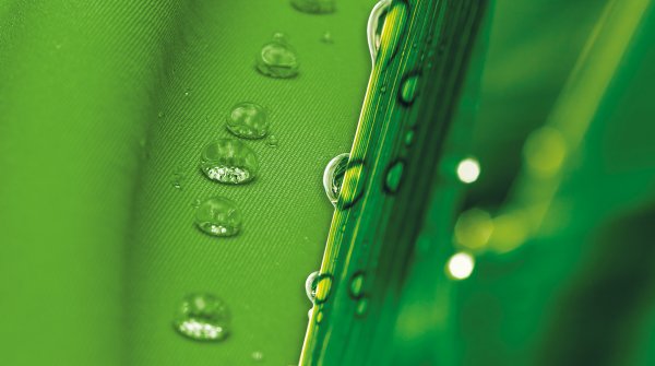 Green water repellent fabric and plants